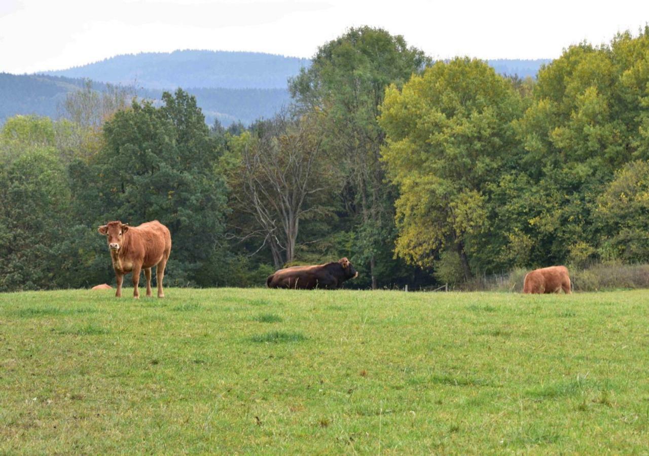 Ferienhaus Vulkaneifel Kopp Esterno foto